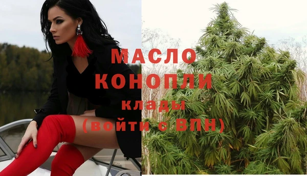 стаф Няндома