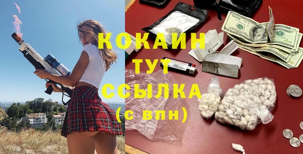 стаф Няндома