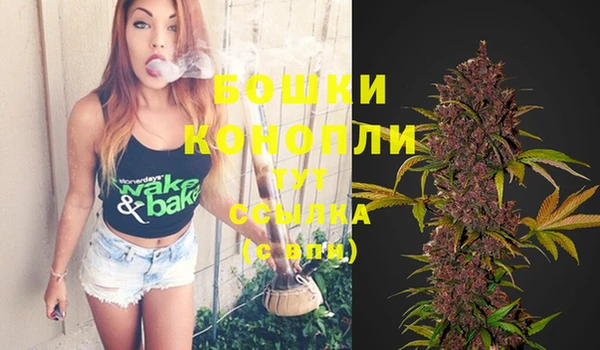 стаф Няндома