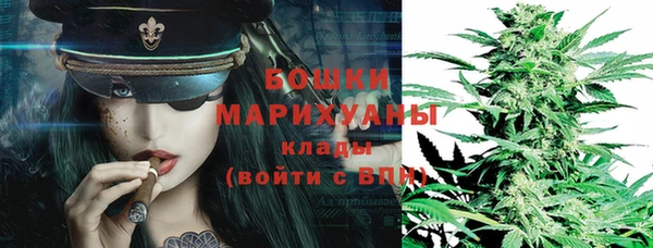 стаф Няндома