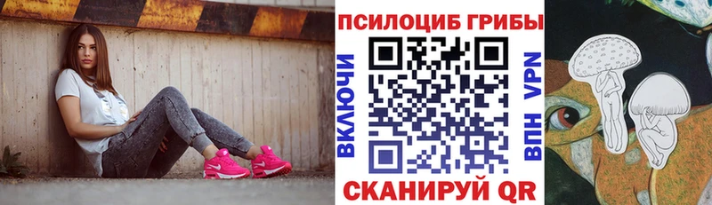 цены Братск Галлюциногенные грибы Cubensis