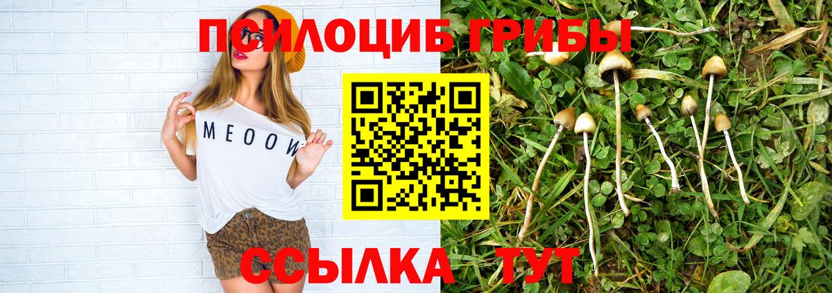 Псилоцибиновые грибы MAGIC MUSHROOMS  Вход с VPN  Братск  Галлюциногенные грибы мицелий 
