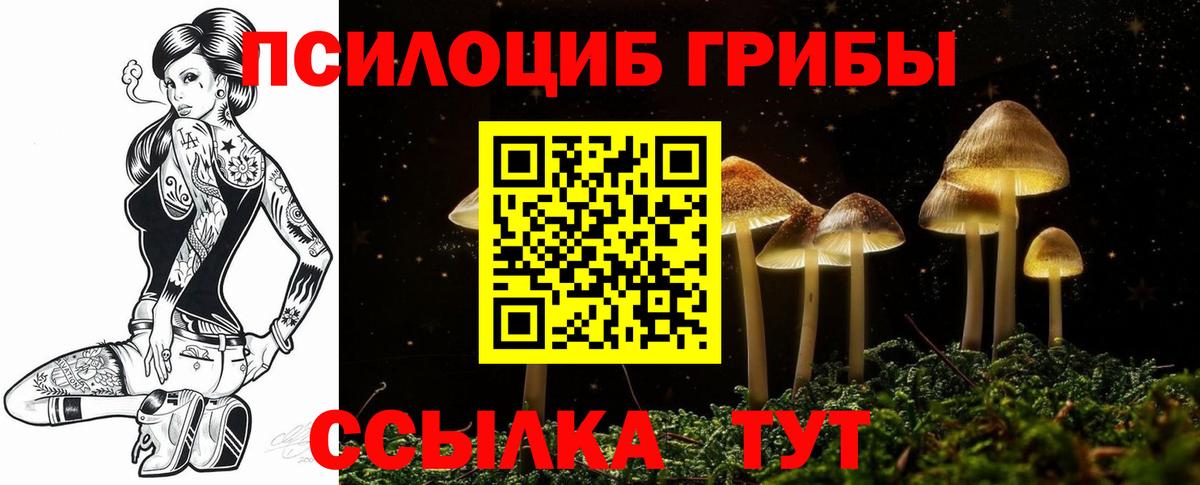 Псилоцибиновые грибы Psilocybine cubensis Братск