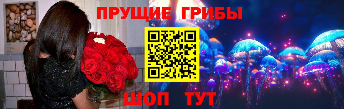 Галлюциногенные грибы GOLDEN TEACHER  Братск 